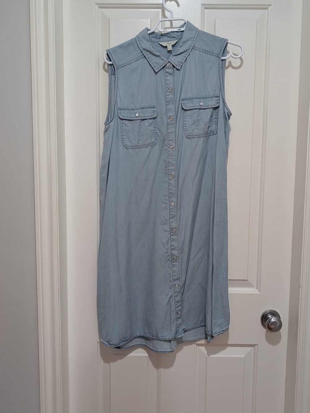 Ripe Chambray Maternity Dress Button Down